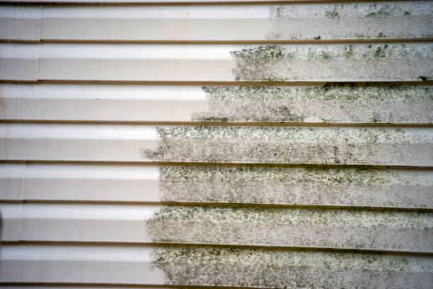 Affordable Siding Repair and Maintenance Services in Worthington, IN