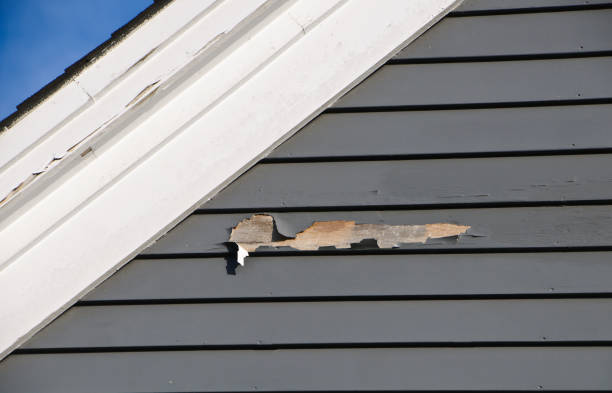 Best Siding Removal and Disposal  in Worthgton, IN